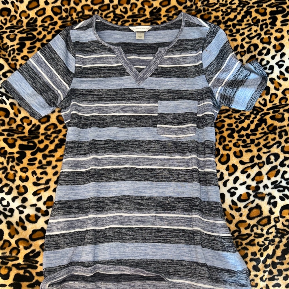 Blue and Grey Striped V-neck Casual Blouse